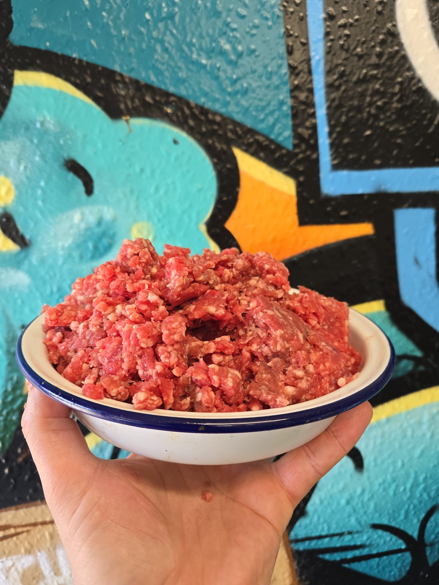 Dry aged jersey retired dairy mince beef