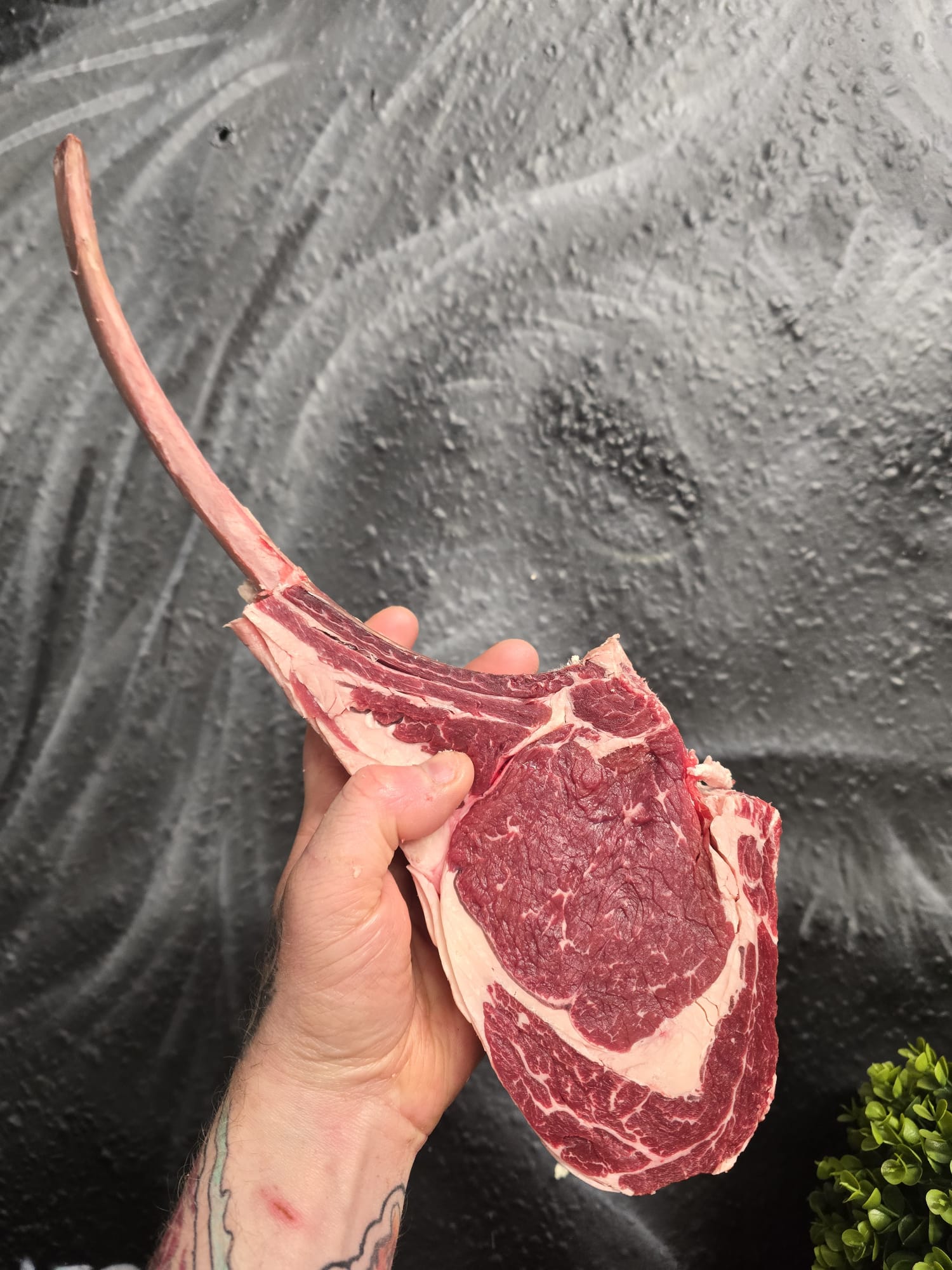 Aged red galloway tomahawk steak