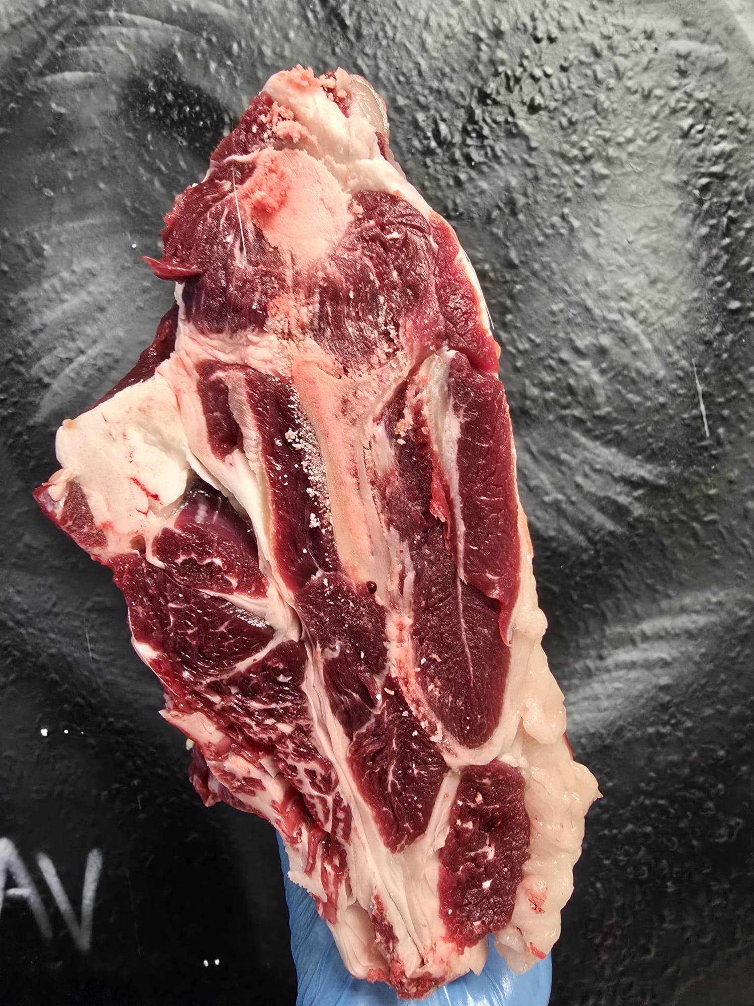 Bone in Goat Shoulder