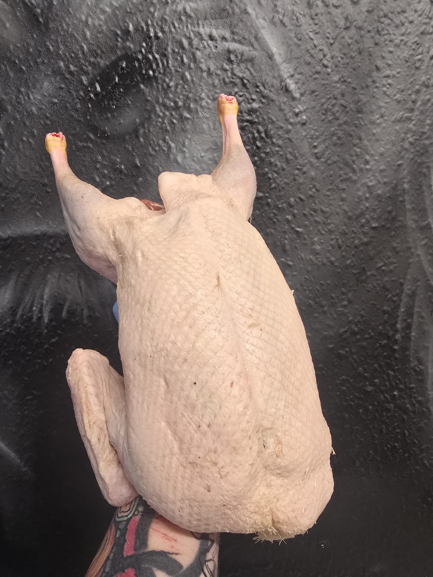 Sladesdown farm pasture raised free range pekin ducks