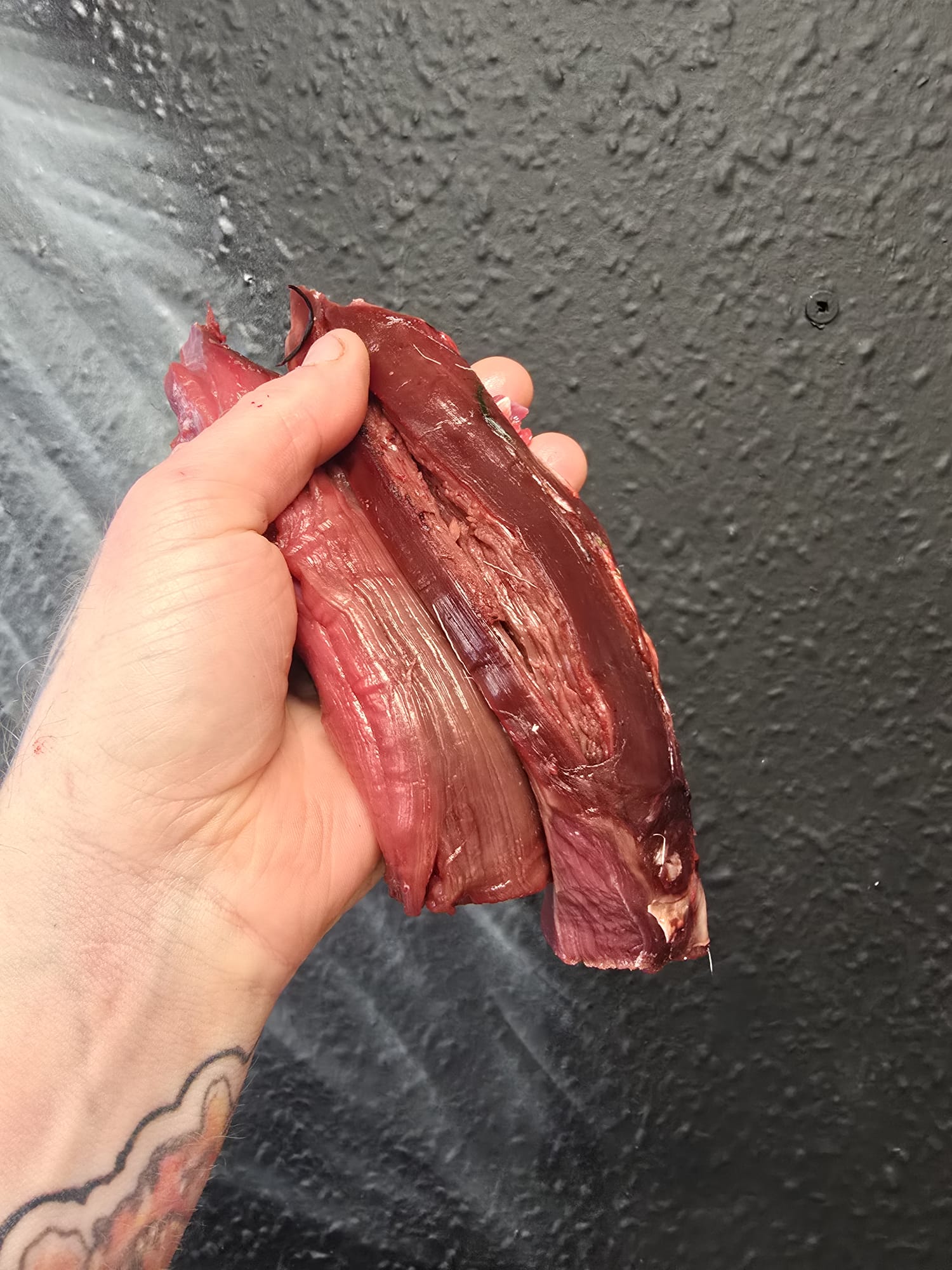 Wild fallow deer fillets.