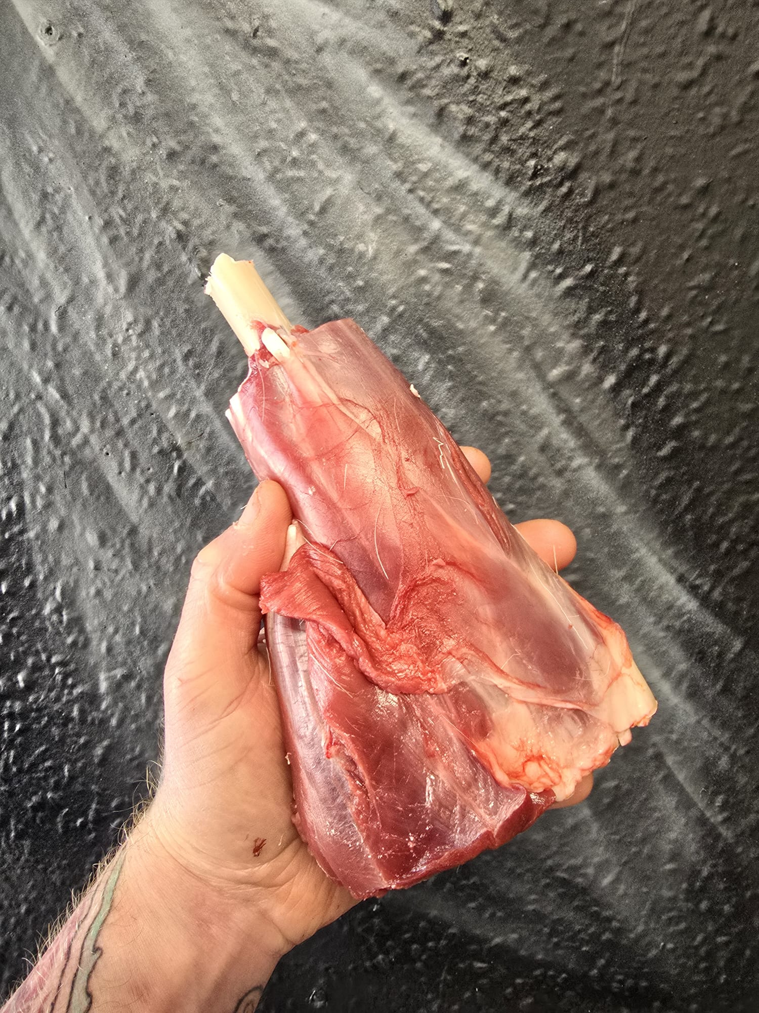 Wild fallow deer shanks