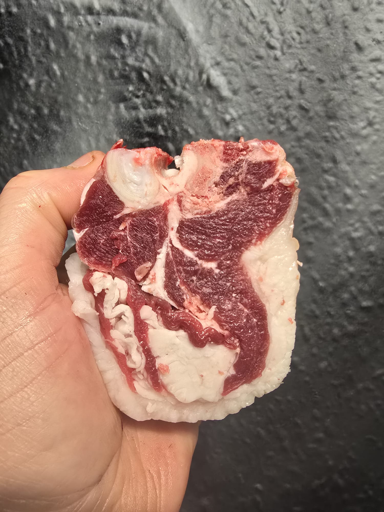 Boer X Dairy goat t bone