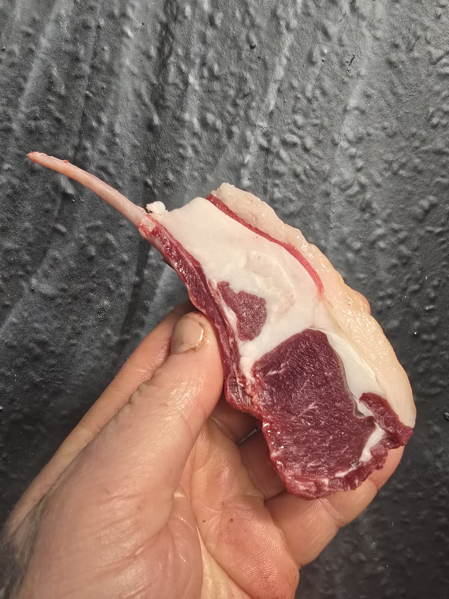Boer X Dairy goat cutlets