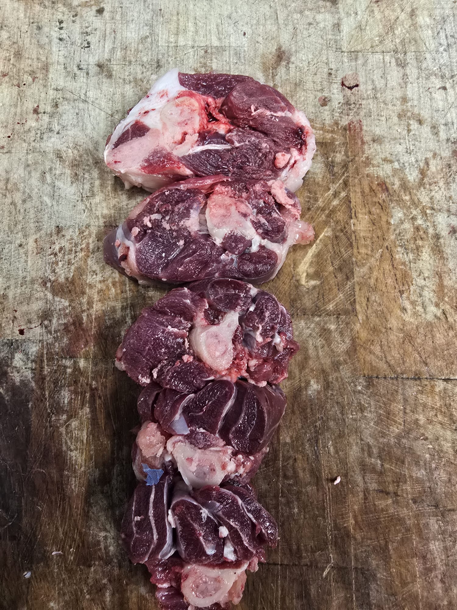 Boer X Dairy goat bone in shin