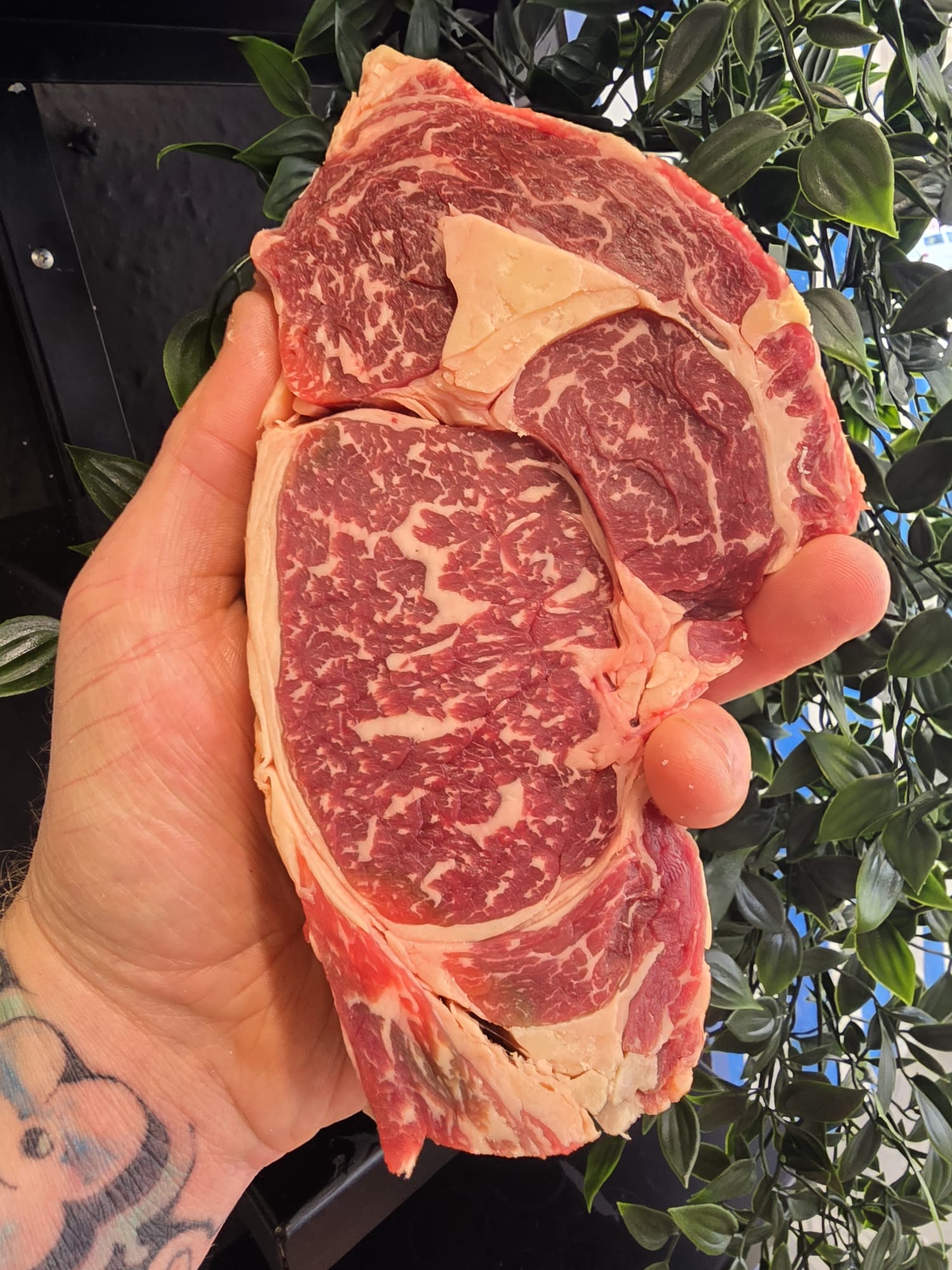 Dry aged yorkshire retired dairy ribeye