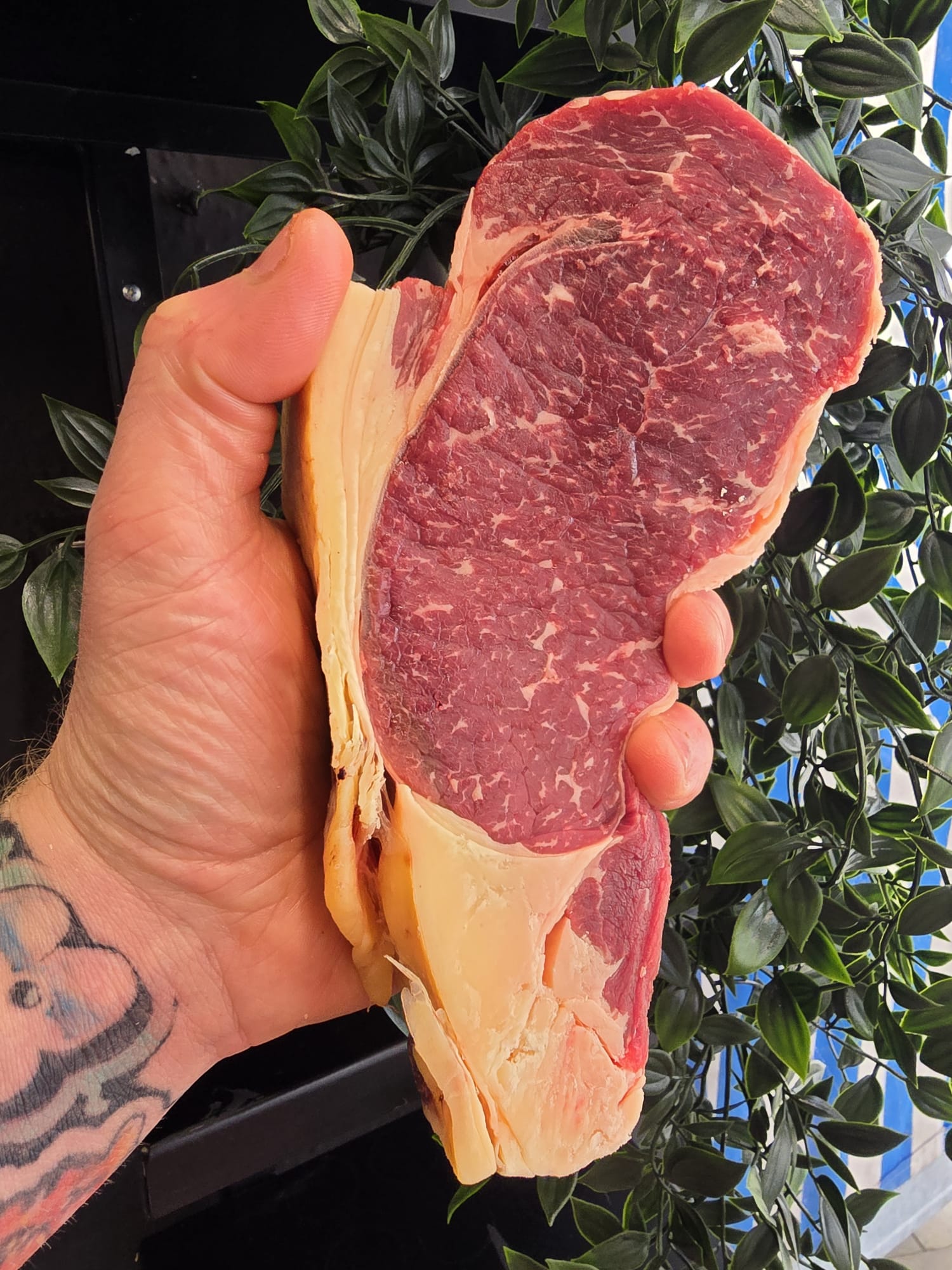 Dry aged yorkshire retired dairy sirloin