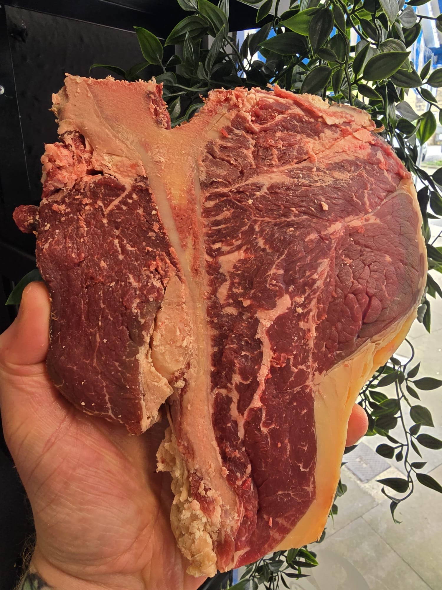 Dry aged yorkshire retired dairy t bone