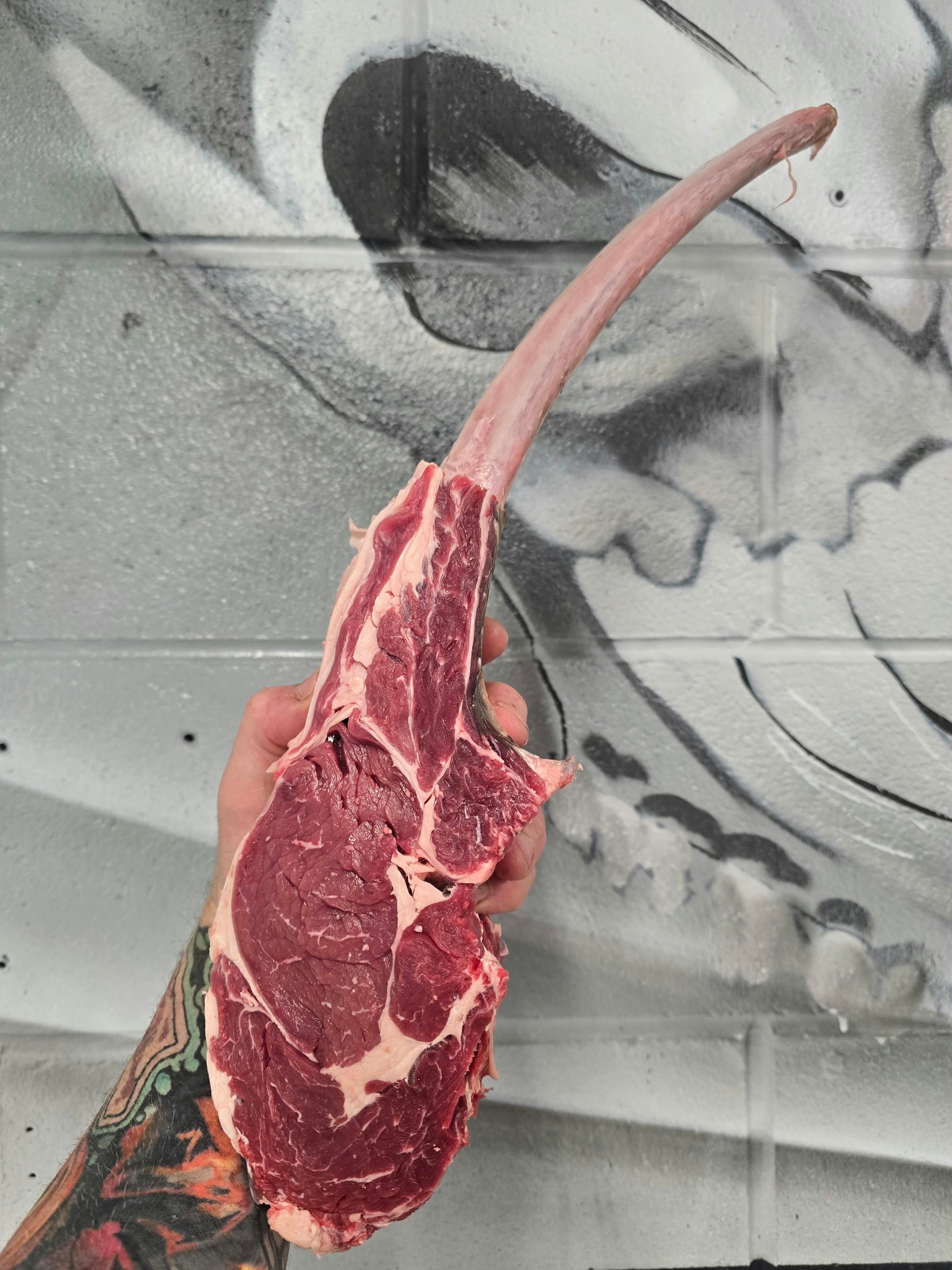 5 week dry aged belted galloway tomahawks