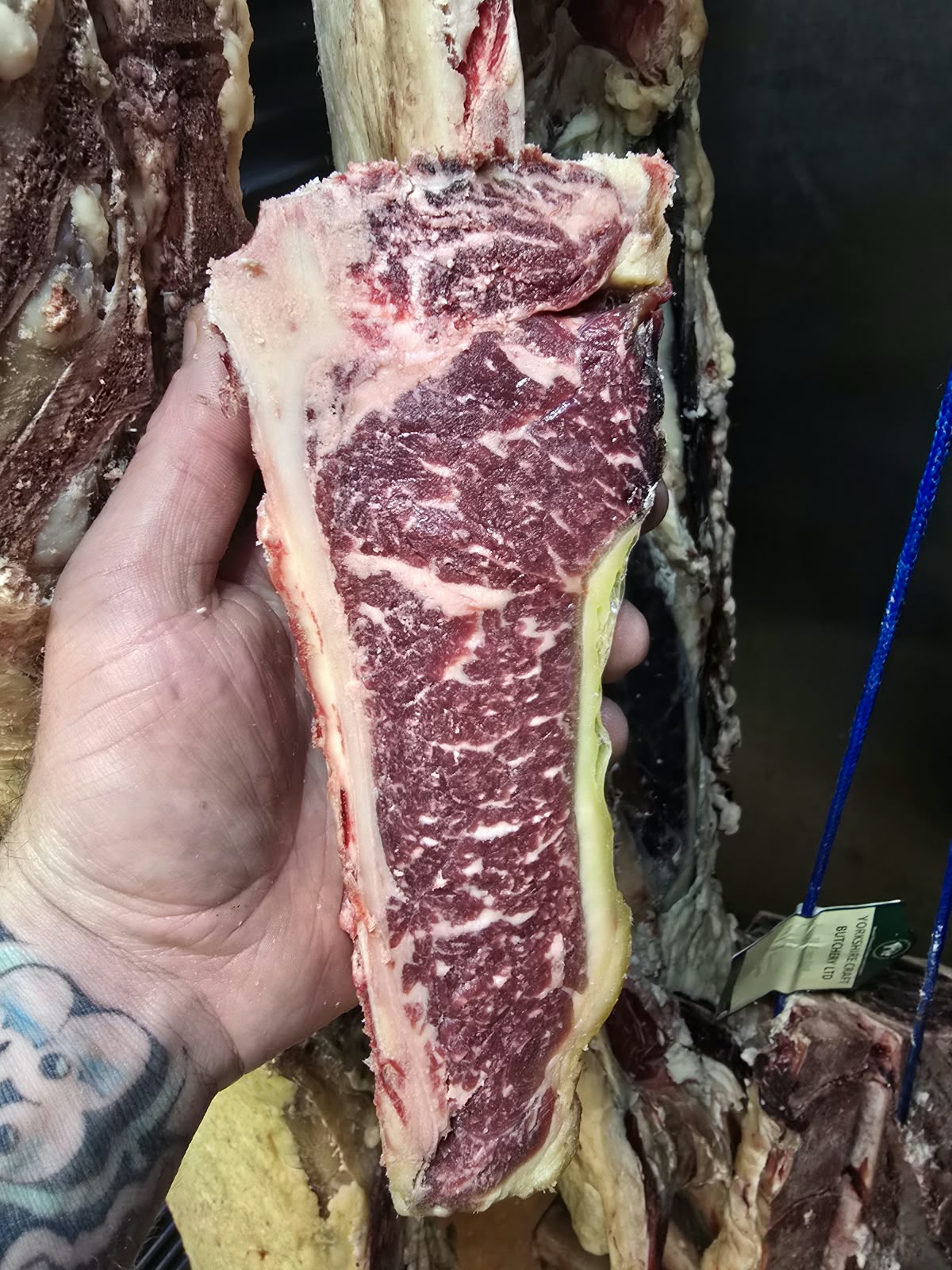 Dry aged jersey retired dairy bone in sirloin