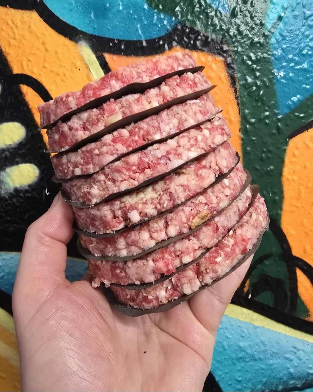 Dry aged jersey retired dairy burgers