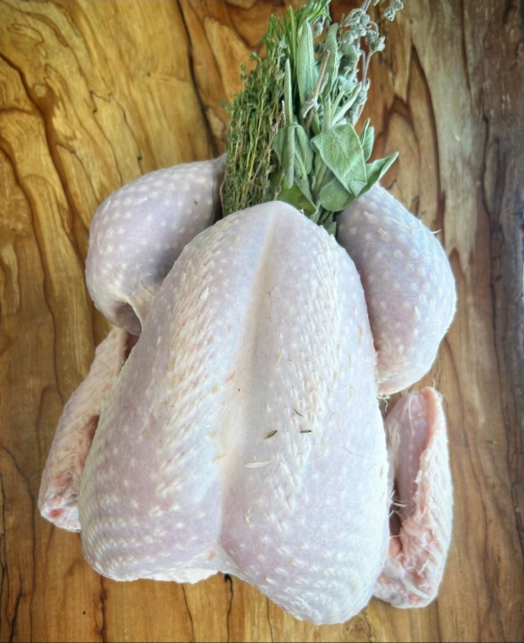 Yorkshire farmed bronze free range whole turkey